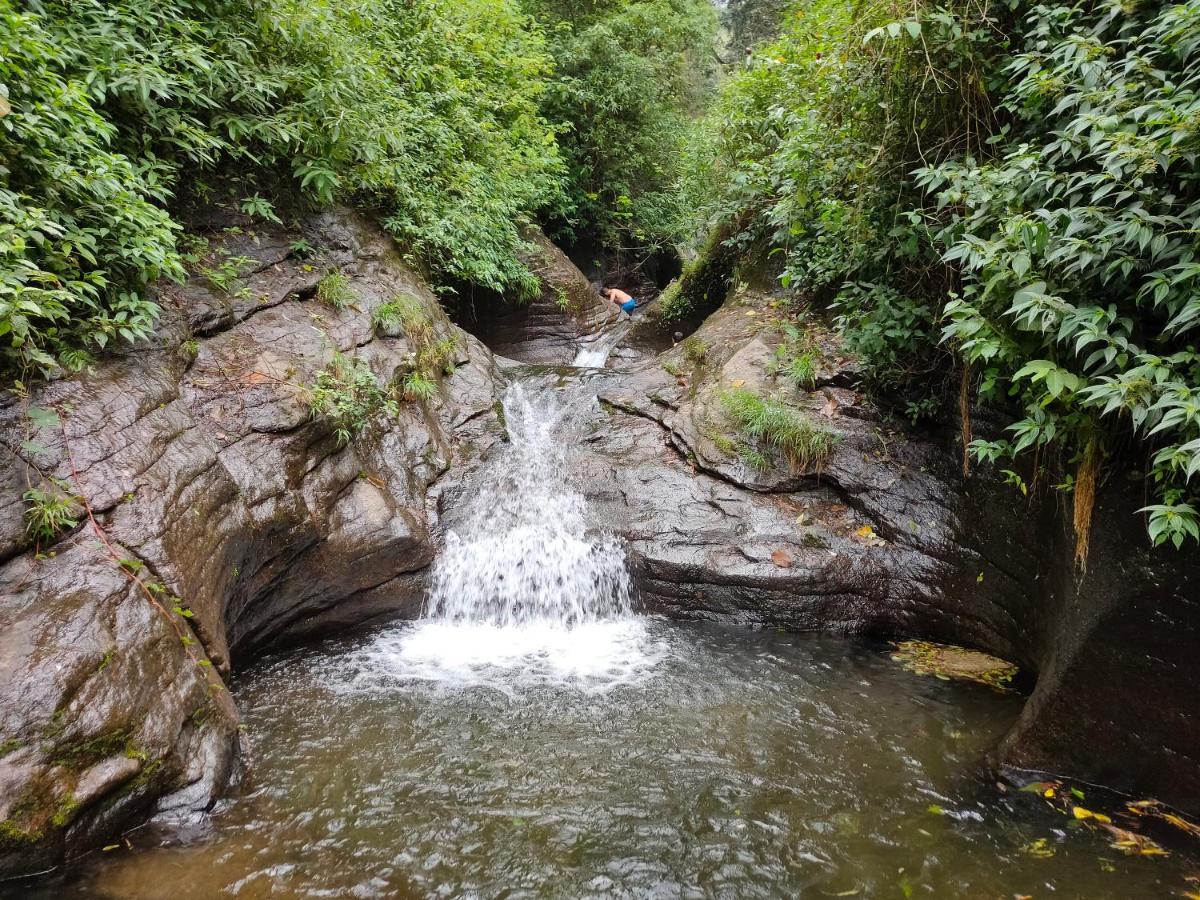 Villoonnickal Homestay Munnar Esterno foto