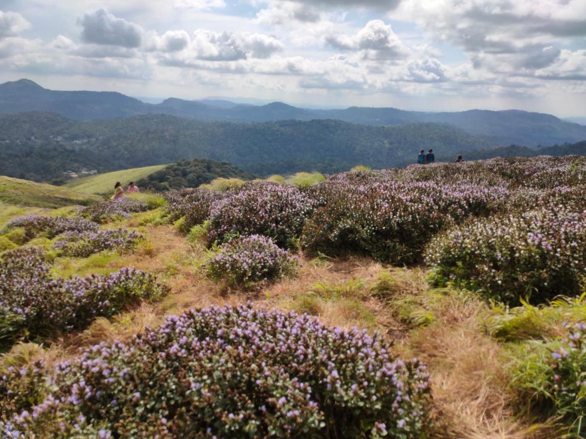 Villoonnickal Homestay Munnar Esterno foto